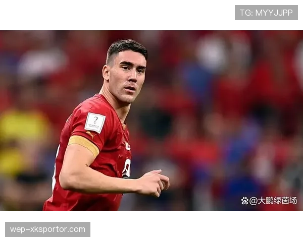 弗拉霍维奇：塞尔维亚锋线核心的责任与战术定位